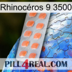 Rhinocéros 9 3500 26